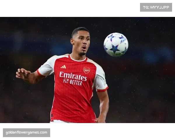 萨利巴与加布里埃尔组成英超最稳固中卫搭档 枪手防守基石